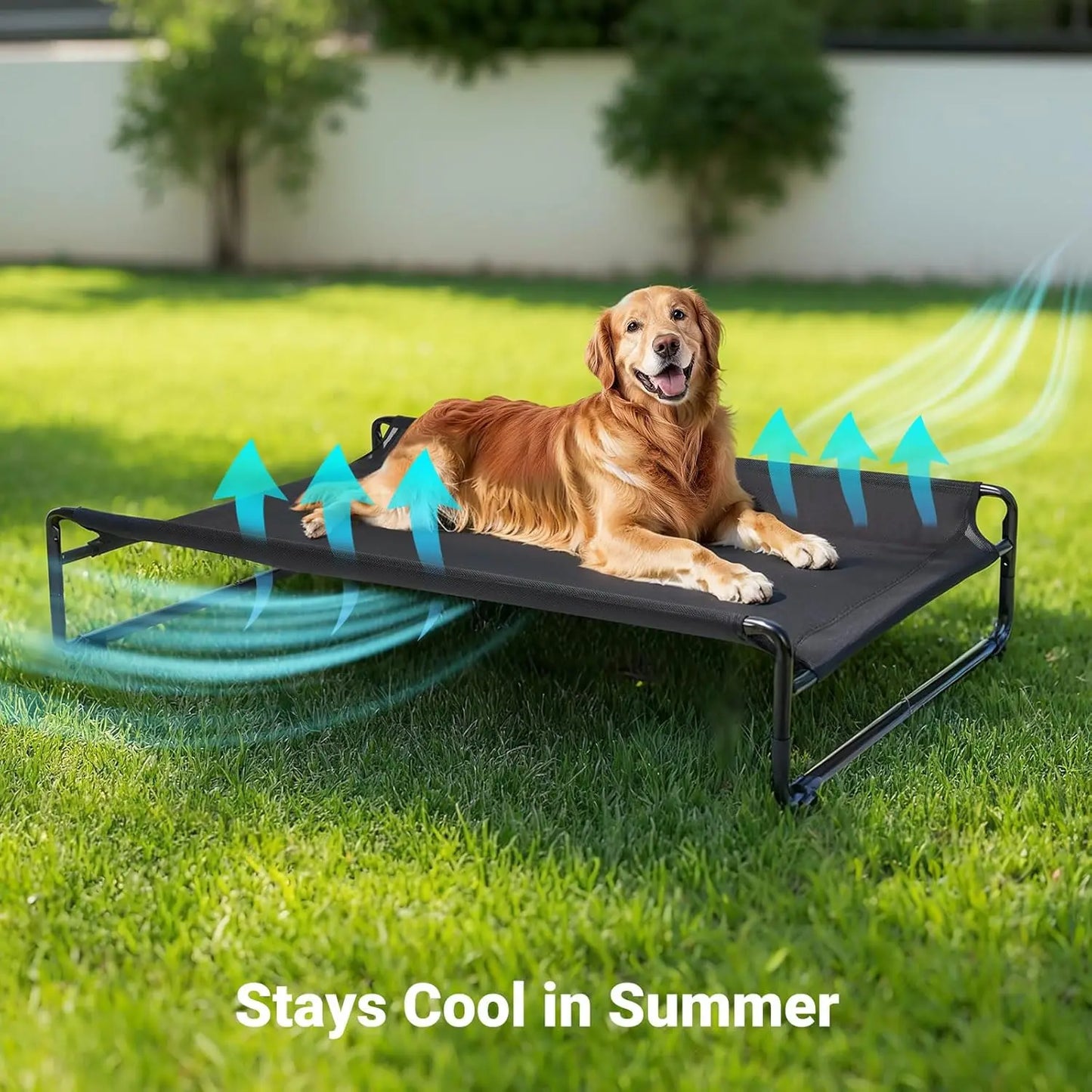 Elevated Cooling Dog Bed for Large Breeds,