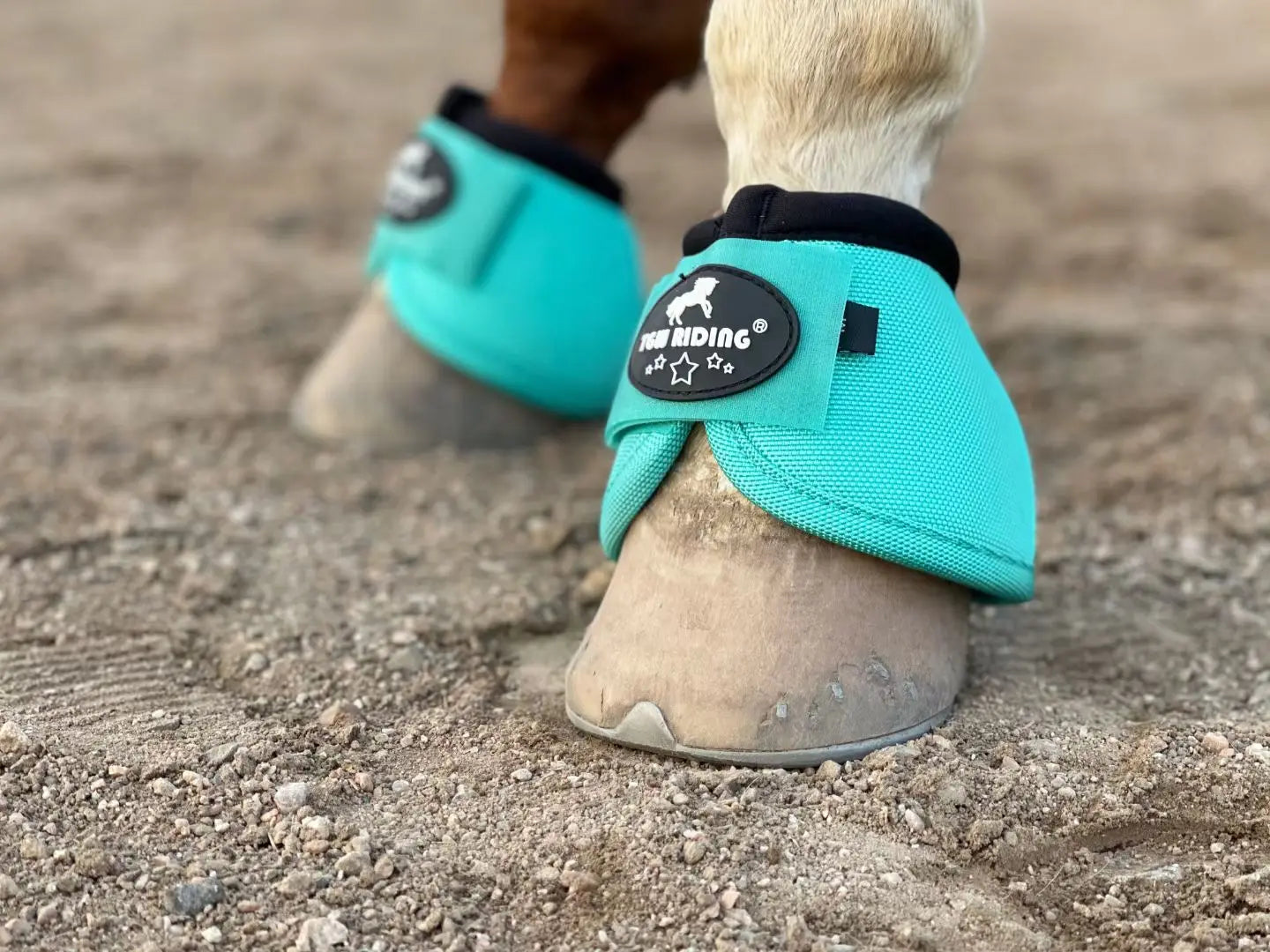 No-Turn Horse Bell Boots