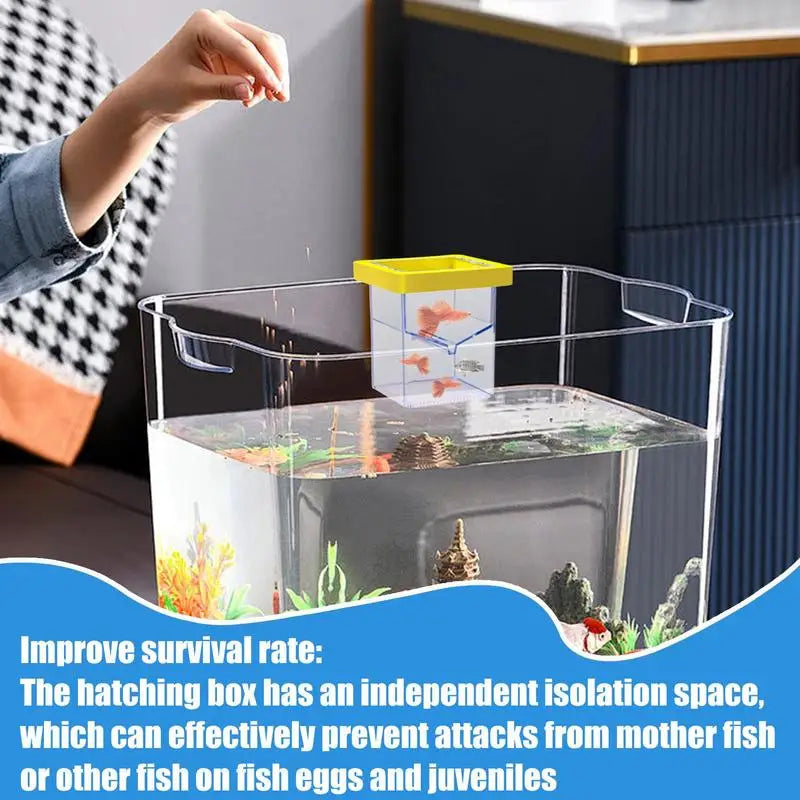 Fish Breeder Box