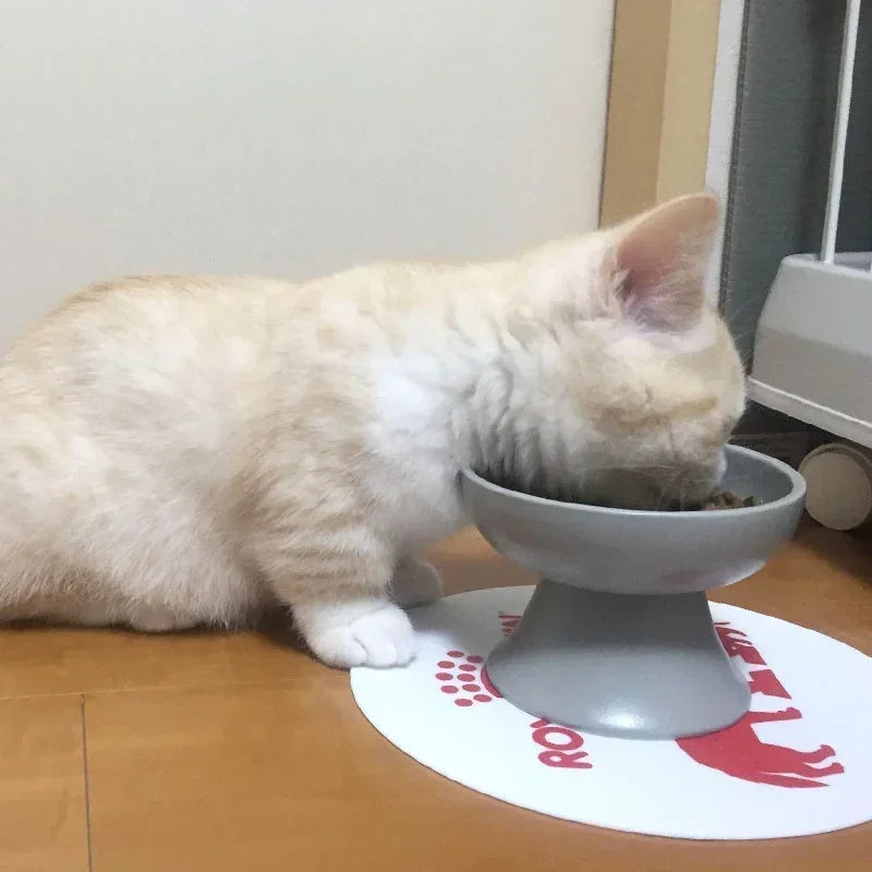 Cat Bowl Anti Vomiting