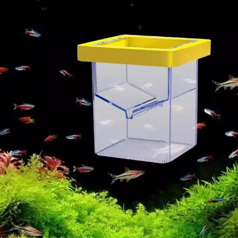Fish Breeder Box