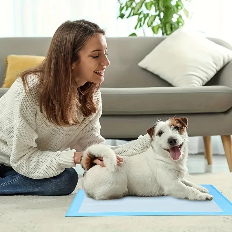 20 large pet pee pads