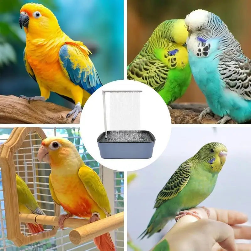 Parrot Bath Tub Multipurpose  Shower Fountain For Parakeets