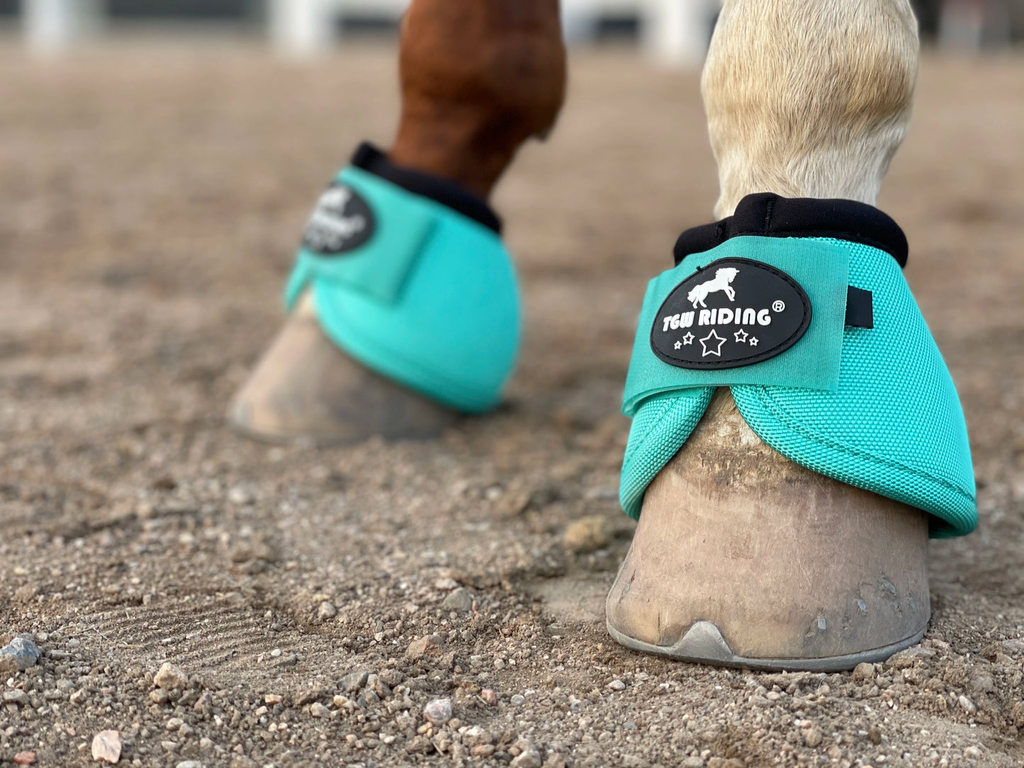 No-Turn Horse Bell Boots