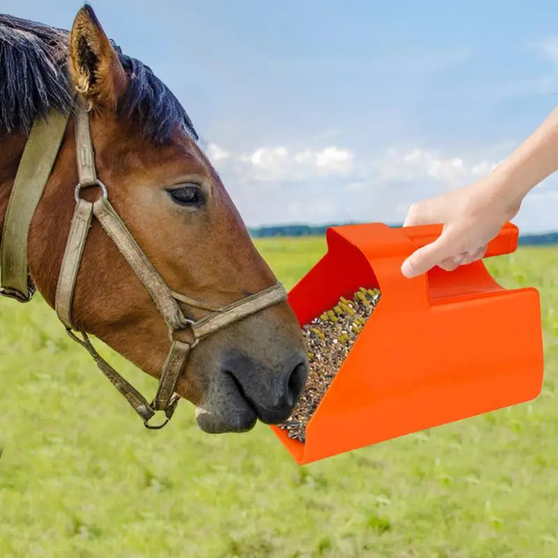 Food Service Utility Scoop