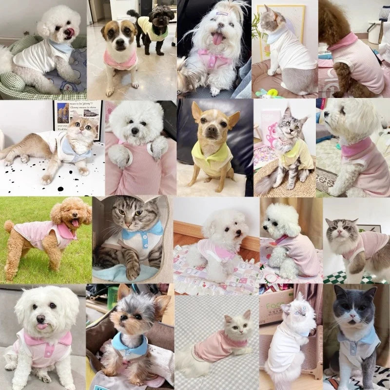 Summer Fashion Dog Clothes