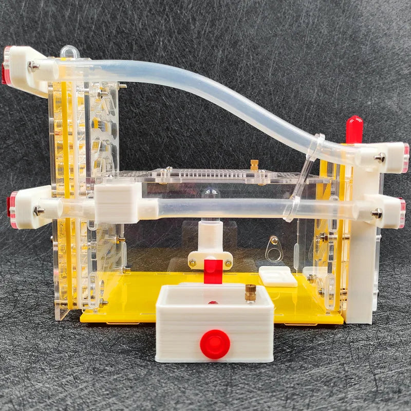 T Design DIY Ant Farm