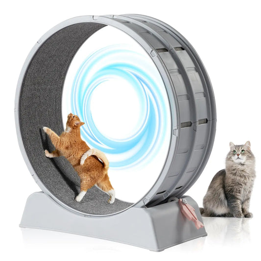 , 31-Inch Treadmill for cats