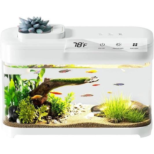 Smart Betta Fish Tank Aquarium 3 Gallon