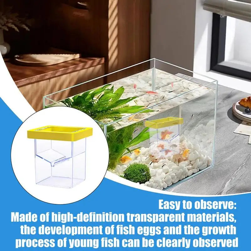 Fish Breeder Box