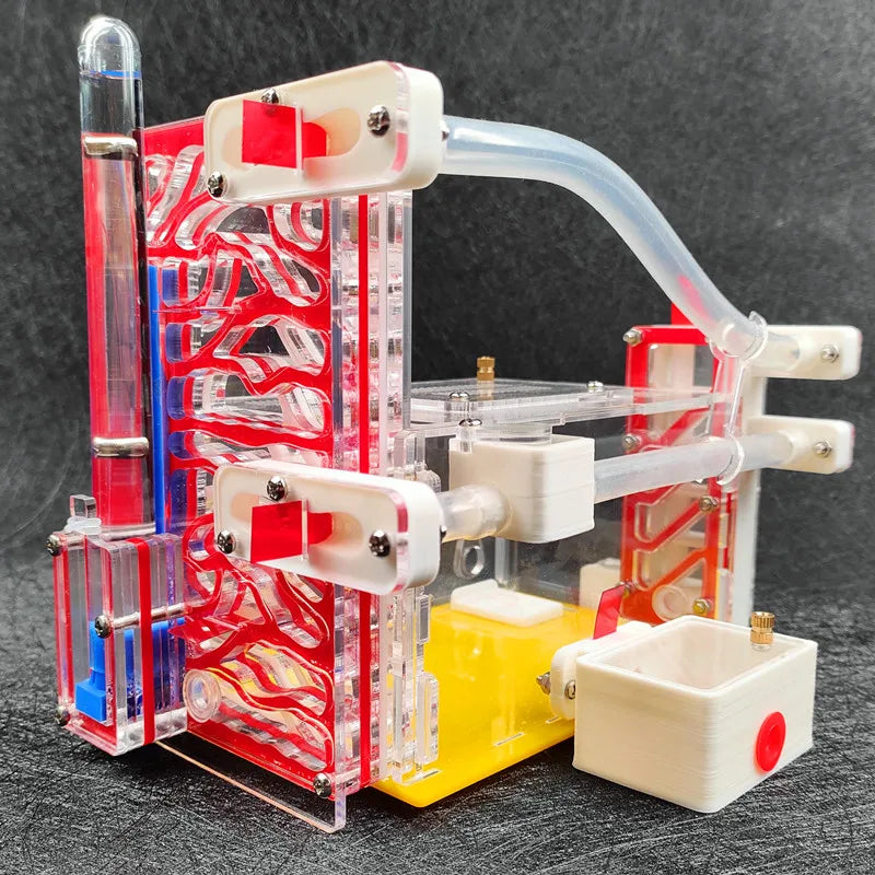 T Design DIY Ant Farm