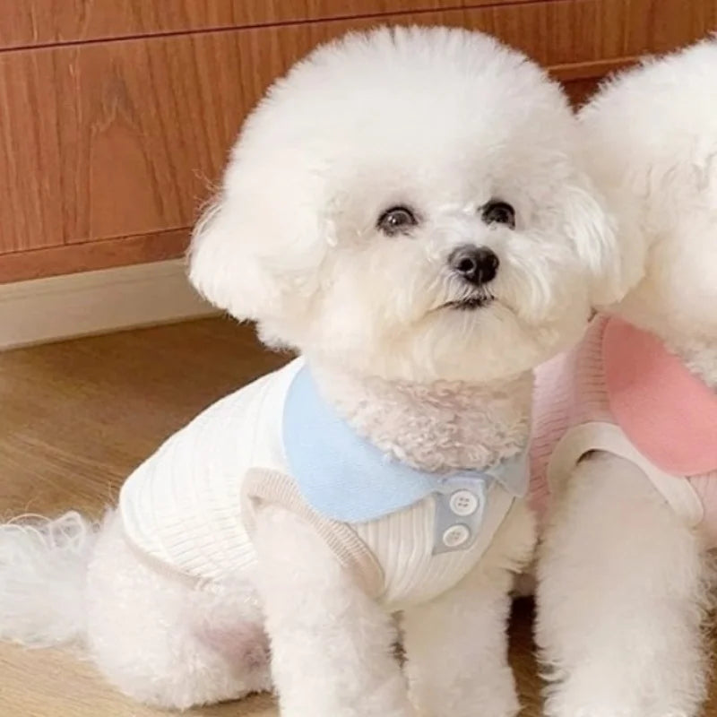 Summer Fashion Dog Clothes