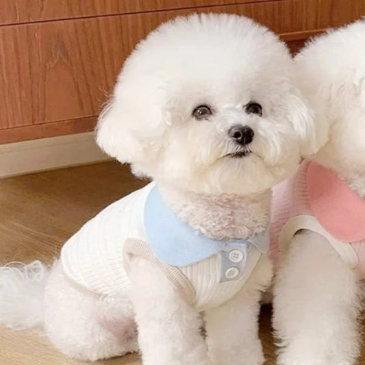 Summer Fashion Dog Clothes