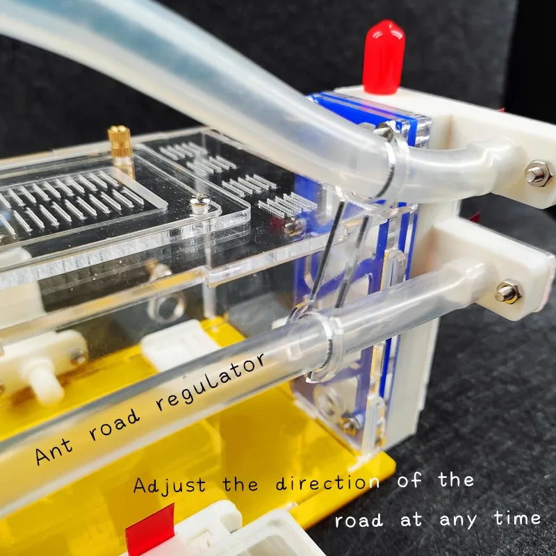 T Design DIY Ant Farm