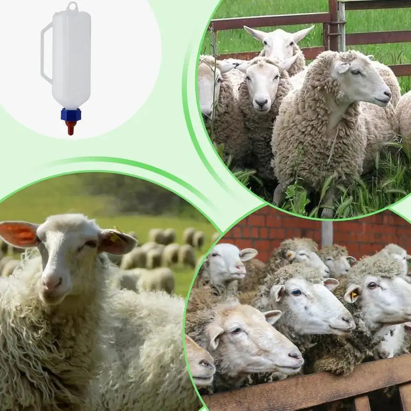 Lamb Bottle 1L
