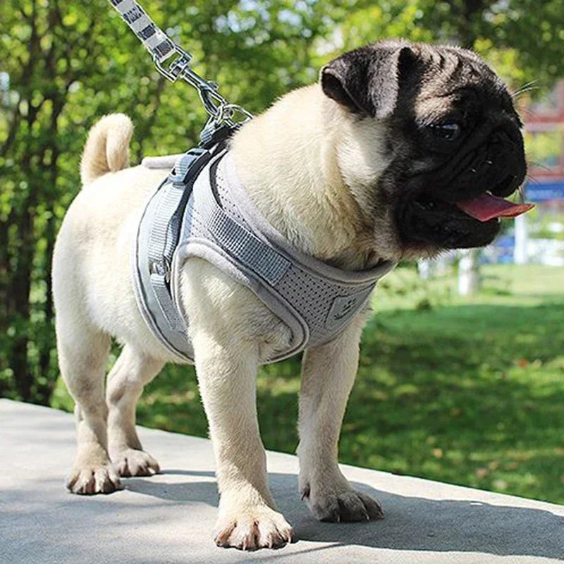 Adjustable Mesh Vest Dog Harness Collar Chest Strap