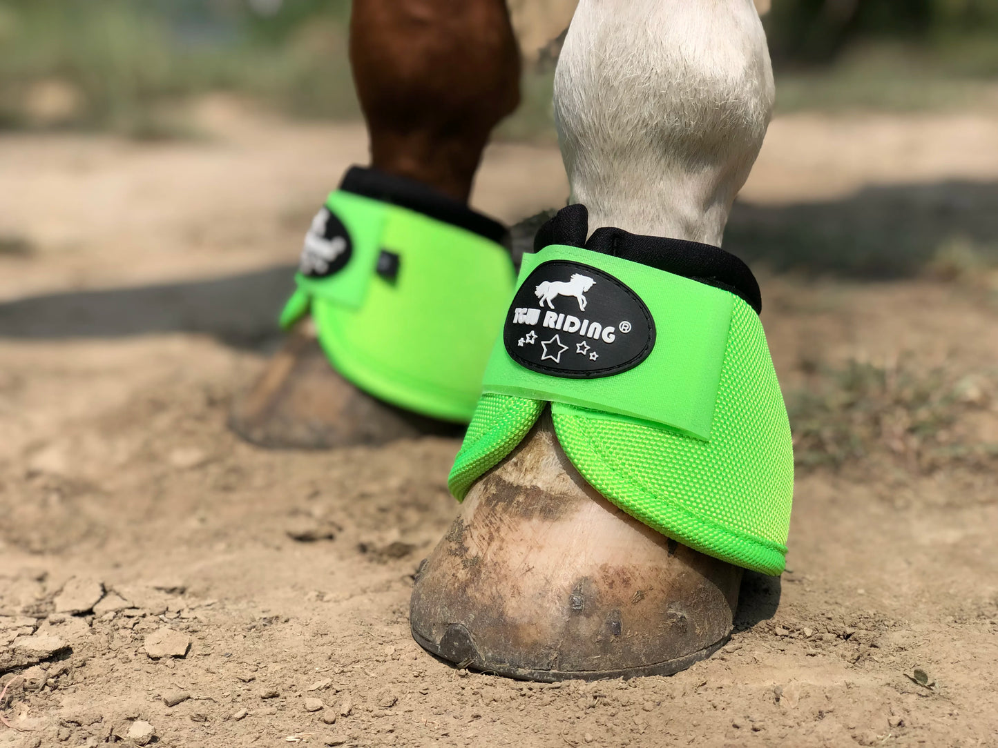 No-Turn Horse Bell Boots