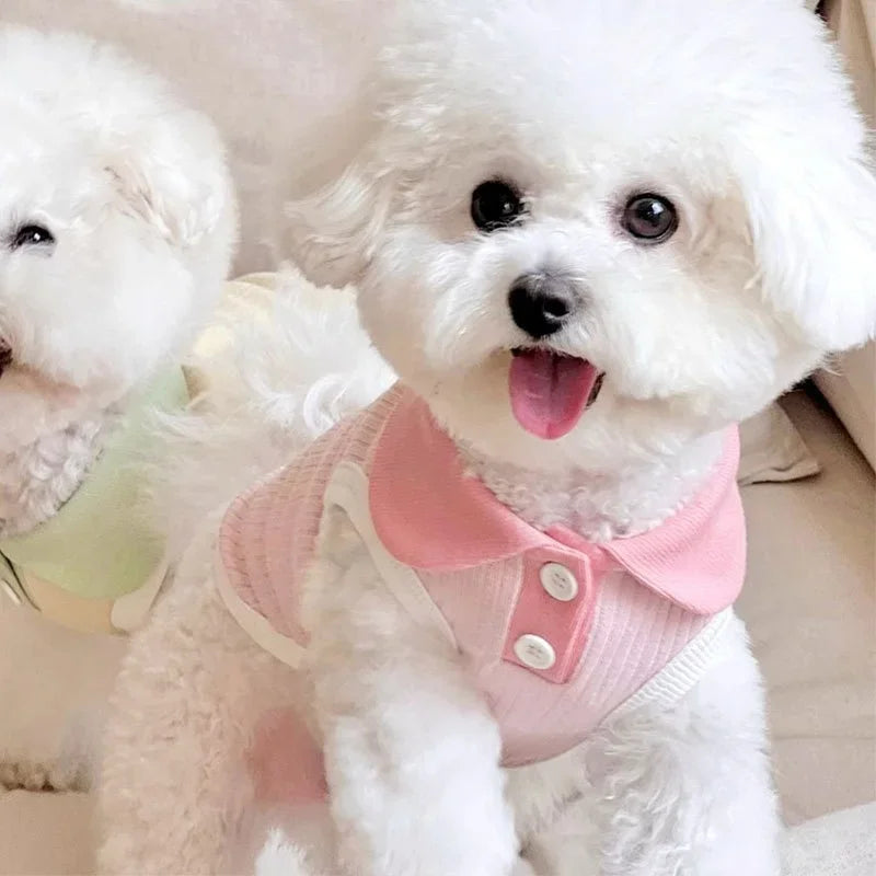 Summer Fashion Dog Clothes