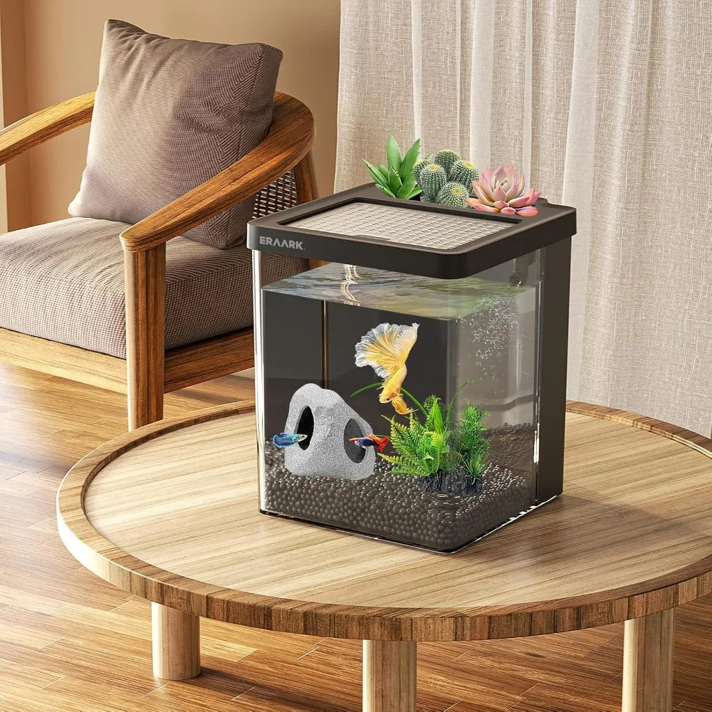 Betta Fish Tank