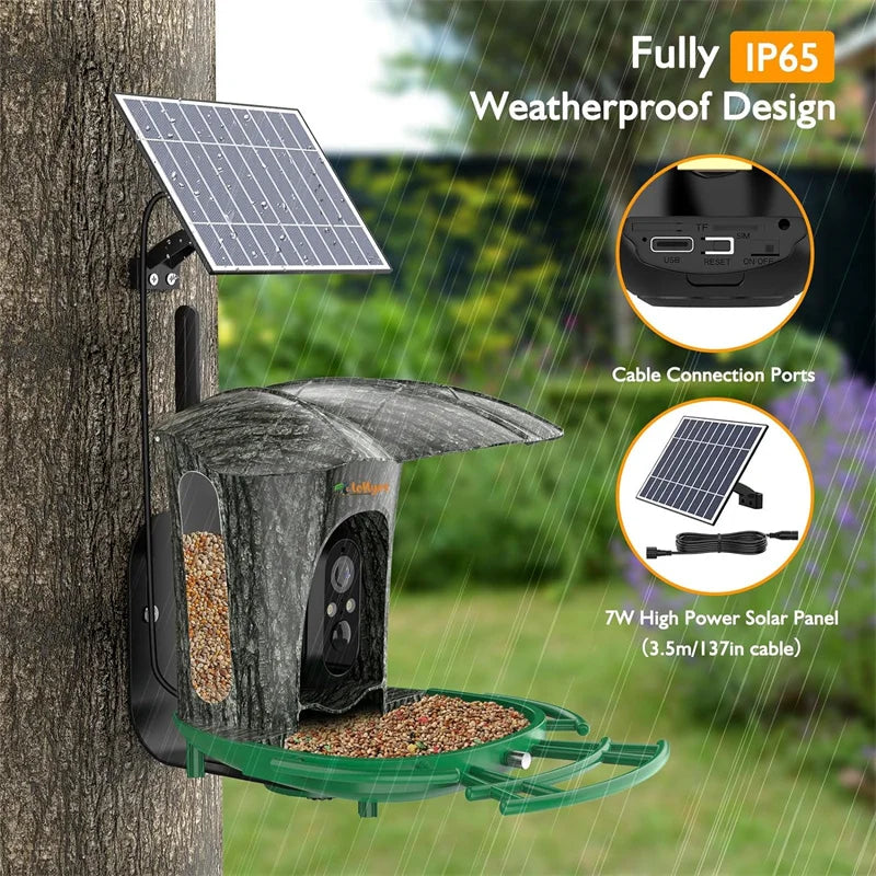 Smart Bird Feeder Camera with 64G Card